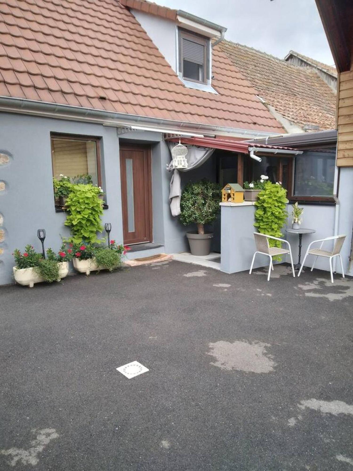 Appartement Cosy Wintzenheim + Terrasse Екстер'єр фото